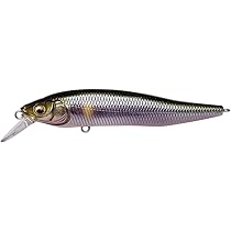Amazon.co.jp: メガバス(Megabass) ルアー X70 SP 05GG メガバス